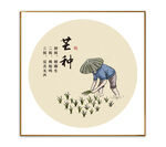 芒种