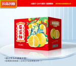 葡萄柚包装 柚子包装