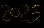 数字2025