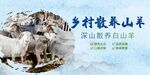 山羊