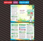 2024年预防出生缺陷日折页