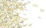 手绘花 小花