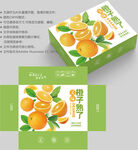橙子包装 水果盒子