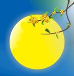 中秋元素 矢量图月亮 桂花素材