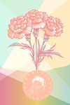手绘康乃馨母亲节母爱鲜花插画
