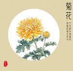 菊花手绘风格海报