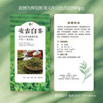 安吉白茶绿茶茶叶介绍卡片