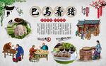 巴马香猪