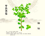 泽漆中药泽漆