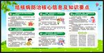 结核病防治核心信息宣传栏