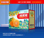 耙耙柑包装 春见礼盒