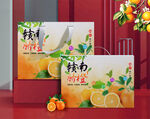 橙子包装  下载为展开图