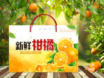 橙子包装  下载为展开图