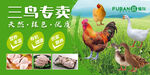 三鸟