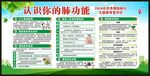 世界慢阻肺日宣传栏