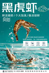 虎虾海报