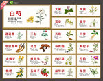 中草药海报