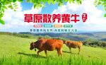 黄牛广告