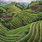 茶园风景装饰画