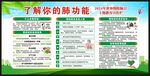 世界慢阻肺日宣传栏