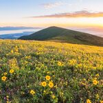 海坨山的早晨