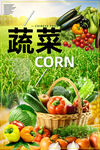 蔬菜