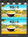 小米
