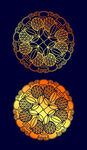 矢量烫金色荔枝纹