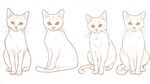 画猫步骤