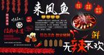 来凤鱼