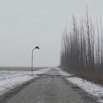 乡村雪景马路