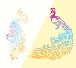 手绘矢量高清孔雀