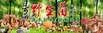 野生菌广告