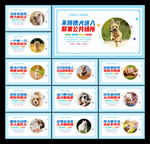 文明养犬文化宣传展板