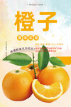 橙子