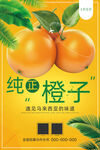橙子