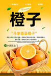 橙子