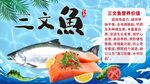 三文鱼海报