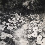 胡杭白菊插画