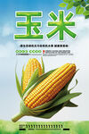 玉米
