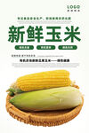 玉米