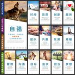 企业文化墙