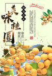 桂圆海报设计模板