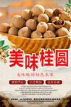 美味桂圆海报设计模板