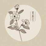 茉莉花 