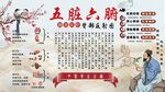 五脏六腑背景墙