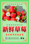 新鲜草莓
