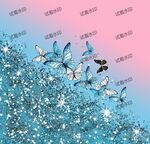蝴蝶