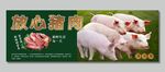 农家土猪肉 土猪海报 散养猪