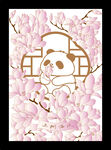 玉兰花 面纸
